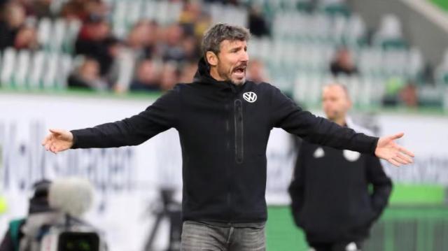 球迷的期望 球迷的期望